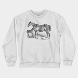 Mare and Foal Vintage Horse Illustration Crewneck Sweatshirt